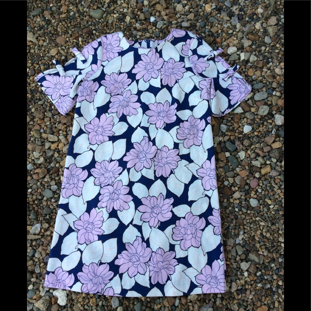 Ann Taylor dress